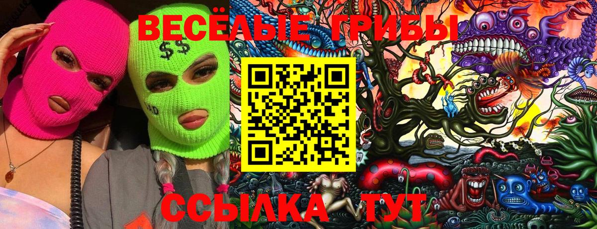 Псилоцибиновые грибы ЛСД  Псилоцибиновые грибы прущие грибы  Вход с VPN  Малоярославец 