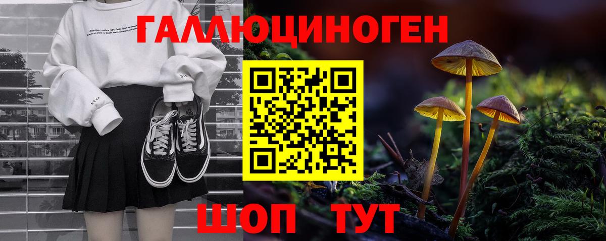 Галлюциногенные грибы Cubensis Малоярославец